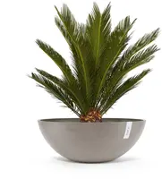 Ecopots kunststof bloempot vienna 70x25.3 cm taupe     - afbeelding 2