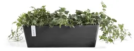Ecopots kunststof plantenbak bruges 45x17x17 cm donkergrijs     - afbeelding 2