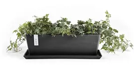 Ecopots kunststof plantenbak bruges 45x17x17 cm donkergrijs     - afbeelding 4