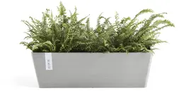 Ecopots kunststof plantenbak bruges 55x17x17 cm witgrijs     - afbeelding 6