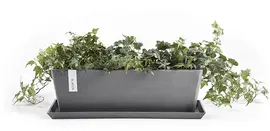 Ecopots kunststof plantenbak bruges 65x20x20 cm grijs     - afbeelding 4