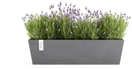 Ecopots kunststof plantenbak bruges 65x20x20 cm grijs     - afbeelding 6