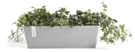 Ecopots kunststof plantenbak bruges 65x20x20 cm witgrijs     - afbeelding 2