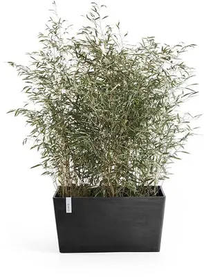 Ecopots kunststof plantenbak paris 100x46.4x51cm donkergrijs     - afbeelding 2