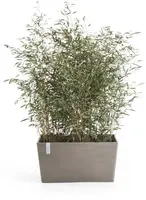 Ecopots kunststof plantenbak paris 100x46.4x51cm taupe     - afbeelding 2