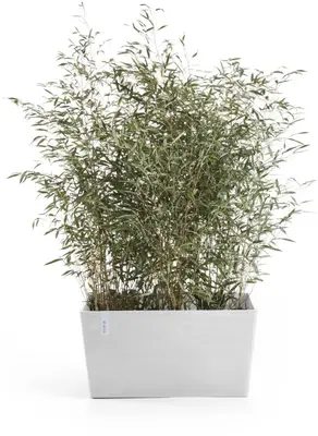 Ecopots kunststof plantenbak paris 100x46.6x51cm puurwit     - afbeelding 2