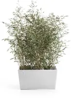 Ecopots kunststof plantenbak paris 100x46.6x51cm puurwit     - afbeelding 2