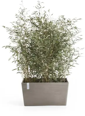 Ecopots kunststof plantenbak paris 60x26.2x40.5cm taupe     - afbeelding 2