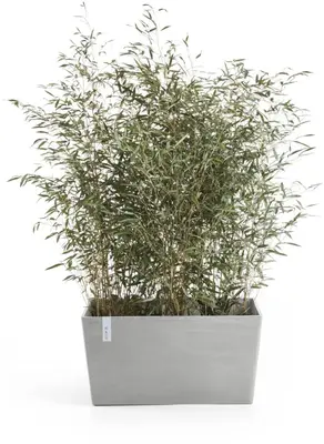 Ecopots kunststof plantenbak paris 60x26x40.5cm witgrijs     - afbeelding 2