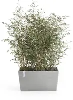 Ecopots kunststof plantenbak paris 60x26x40.5cm witgrijs     - afbeelding 2