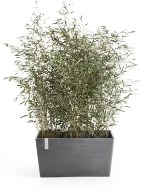 Ecopots kunststof plantenbak paris 60x26x40cm grijs     - afbeelding 2