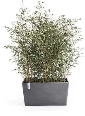 Ecopots kunststof plantenbak paris 60x26x40cm grijs     - afbeelding 3