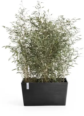 Ecopots kunststof plantenbak paris 80.3x38x40.5cm donker grijs     - afbeelding 2