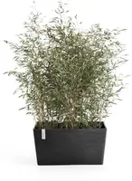 Ecopots kunststof plantenbak paris 80.3x38x40.5cm donkergrijs     - afbeelding 2