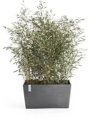Ecopots kunststof plantenbak paris 80x38x40.5cm grijs     - afbeelding 2