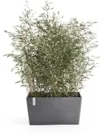 Ecopots kunststof plantenbak paris 80x38x40.5cm grijs     - afbeelding 2