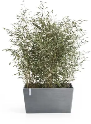 Ecopots kunststof plantenbak paris 99.7x46.4x51cm blauwgrijs     - afbeelding 2