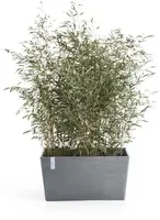 Ecopots kunststof plantenbak paris 99.7x46.4x51cm blauwgrijs     - afbeelding 2