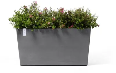 Ecopots kunststof plantenbak paris met wielen 100.5x39.6x51.8cm grijs     - afbeelding 3
