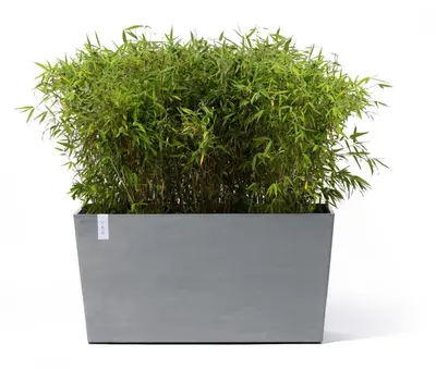 Ecopots kunststof plantenbak paris met wielen 100.5x39.6x51.8cm blauwgrijs     - afbeelding 2