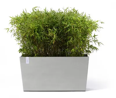 Ecopots kunststof plantenbak paris met wielen 100.5x39.6x51.8cm witgrijs     - afbeelding 2