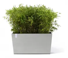 Ecopots kunststof plantenbak paris met wielen 100.5x39.6x51.8cm witgrijs     - afbeelding 2