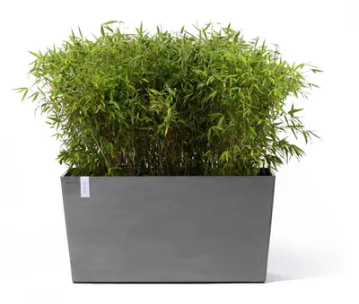 Ecopots kunststof plantenbak paris met wielen 100.5x39.6x51.8cm grijs     - afbeelding 2