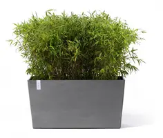 Ecopots kunststof plantenbak paris met wielen 100.5x39.6x51.8cm grijs     - afbeelding 2