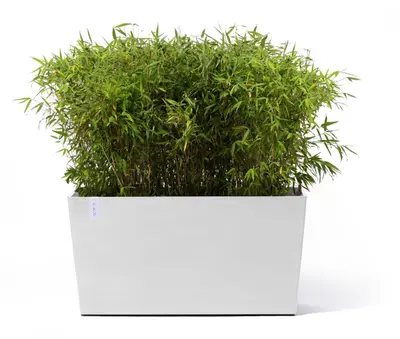Ecopots kunststof plantenbak paris met wielen 100.5x39.6x51.8cm puurwit     - afbeelding 2