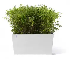 Ecopots kunststof plantenbak paris met wielen 100.5x39.6x51.8cm puurwit     - afbeelding 2