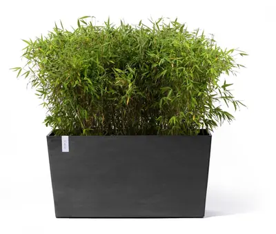 Ecopots kunststof plantenbak paris met wielen 100.5x39.6x51.8cm donkergrijs     - afbeelding 2
