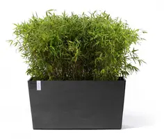 Ecopots kunststof plantenbak paris met wielen 100.5x39.6x51.8cm donkergrijs     - afbeelding 2