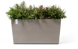 Ecopots kunststof plantenbak paris met wielen 100.5x39.6x51.8cm taupe     - afbeelding 3