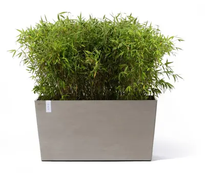 Ecopots kunststof plantenbak paris met wielen 100.5x39.6x51.8cm taupe     - afbeelding 2