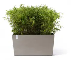 Ecopots kunststof plantenbak paris met wielen 100.5x39.6x51.8cm taupe     - afbeelding 2