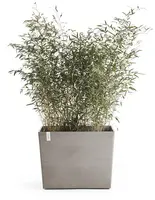 Ecopots kunststof plantenbak paris met wielen 85.2x39.5x6.8cm taupe     - afbeelding 3