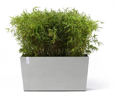 Ecopots kunststof plantenbak paris met wielen 85.2x39.5x65.8cm witgrijs     - afbeelding 7