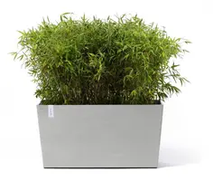Ecopots kunststof plantenbak paris met wielen 85.2x39.5x65.8cm witgrijs     - afbeelding 7