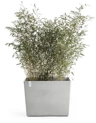 Ecopots kunststof plantenbak paris met wielen 85.2x39.5x65.8cm witgrijs     - afbeelding 3