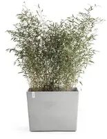 Ecopots kunststof plantenbak paris met wielen 85.2x39.5x65.8cm witgrijs     - afbeelding 3