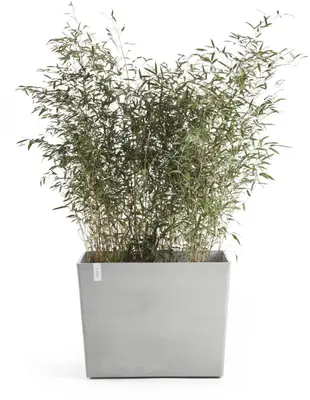 Ecopots kunststof plantenbak paris met wielen 85.2x39.5x65.8cm witgrijs     - afbeelding 9