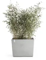 Ecopots kunststof plantenbak paris met wielen 85.2x39.5x65.8cm witgrijs     - afbeelding 9