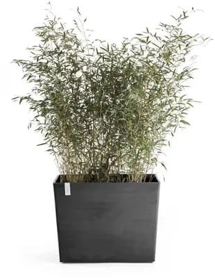 Ecopots kunststof plantenbak paris met wielen 85.2x39.5x65.8cm donkergrijs     - afbeelding 2