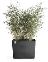 Ecopots kunststof plantenbak paris met wielen 85.2x39.5x65.8cm donkergrijs     - afbeelding 2