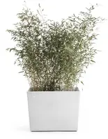 Ecopots kunststof plantenbak paris met wielen 85.2x39.5x65.8cm puurwit     - afbeelding 2