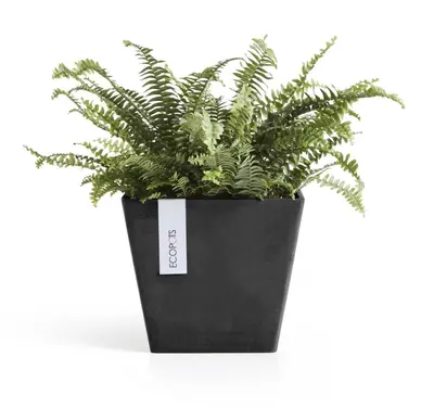 Ecopots kunststof plantenbak rotterdam 20x20x17.5 cm donkergrijs     - afbeelding 6