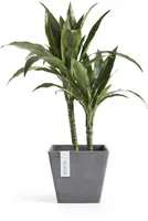 Ecopots kunststof plantenbak rotterdam 20x20x17.5 cm grijs     - afbeelding 6