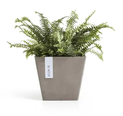 Ecopots kunststof plantenbak rotterdam 20x20x17.5 cm taupe     - afbeelding 7