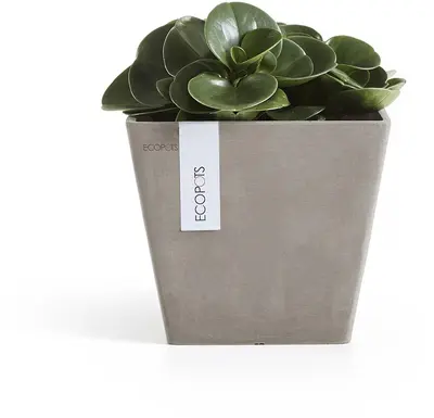 Ecopots kunststof plantenbak rotterdam 20x20x17.5 cm taupe     - afbeelding 2