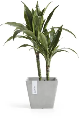 Ecopots kunststof plantenbak rotterdam 20x20x17.5 cm witgrijs     - afbeelding 8